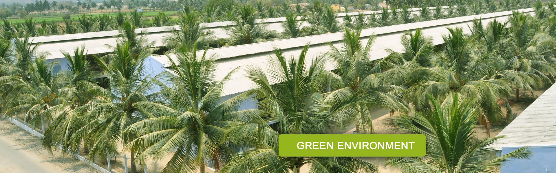 namakkal egg suppliers