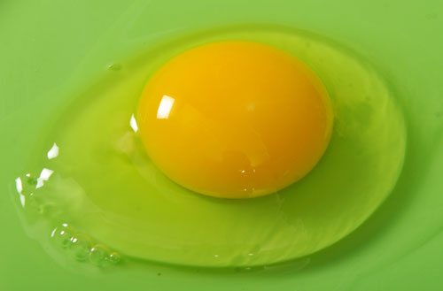 namakkal egg suppliers